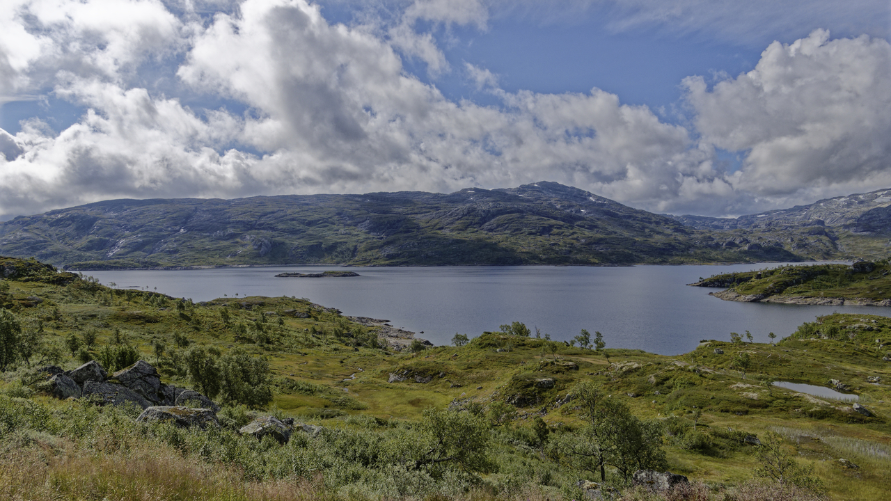20260819•112120•En route to Odda•Vestland•NO